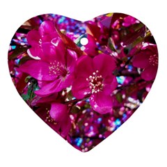 Pretty In Fuchsia 2 Heart Ornament (two Sides) by dawnsiegler