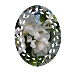 Pure And Simple Oval Filigree Ornament (two Sides) by dawnsiegler