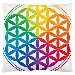 Heart Energy Medicine Large Cushion Case (Two Sides)