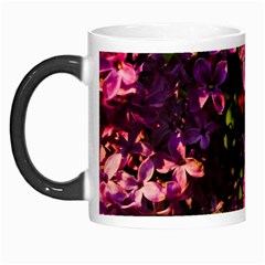 Lilacs Morph Mugs