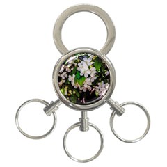 Tree Blossoms 3-ring Key Chains by dawnsiegler