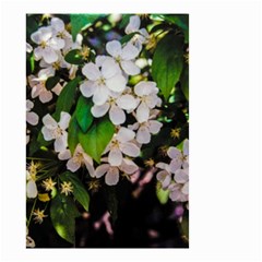 Tree Blossoms Small Garden Flag (two Sides) by dawnsiegler