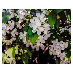 Tree Blossoms Double Sided Flano Blanket (medium)  by dawnsiegler