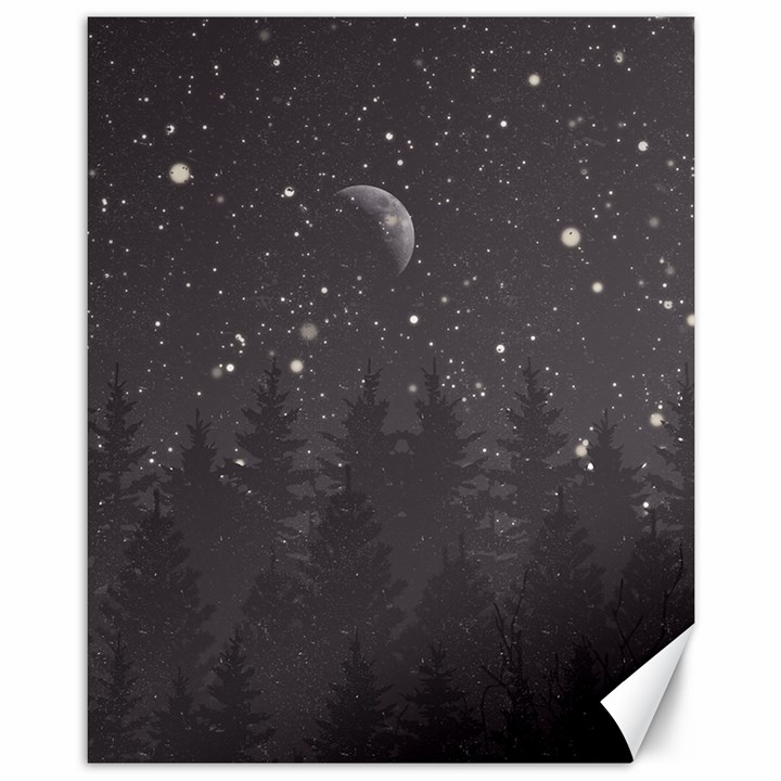 Night Full Star Canvas 11  x 14  