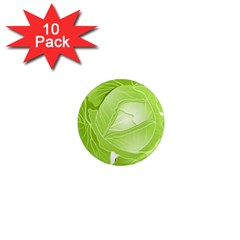 Cabbage Leaf Vegetable Green 1  Mini Magnet (10 Pack) 