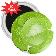 Cabbage Leaf Vegetable Green 3  Magnets (10 Pack)  by Mariart