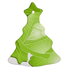 Cabbage Leaf Vegetable Green Ornament (christmas Tree) 