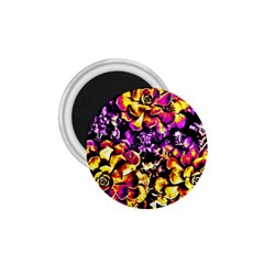 Purple Yellow Flower Plant 1.75  Magnets