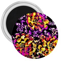 Purple Yellow Flower Plant 3  Magnets