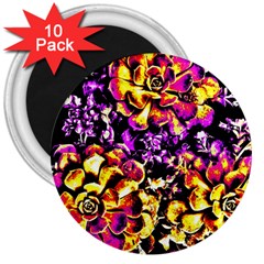 Purple Yellow Flower Plant 3  Magnets (10 pack) 