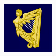 Royal Standard Of Ireland (1542-1801) Medium Glasses Cloth by abbeyz71