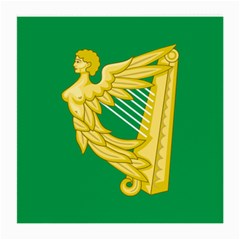 The Green Harp Flag Of Ireland (1642-1916) Medium Glasses Cloth by abbeyz71