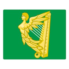 The Green Harp Flag Of Ireland (1642-1916) Double Sided Flano Blanket (large)  by abbeyz71