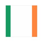 Flag of Ireland  Small Satin Scarf (Square) Front