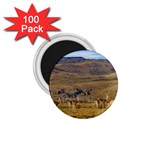 Group Of Vicunas At Patagonian Landscape, Argentina 1.75  Magnets (100 pack)  Front