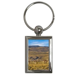 Group Of Vicunas At Patagonian Landscape, Argentina Key Chains (rectangle)  by dflcprints