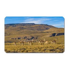 Group Of Vicunas At Patagonian Landscape, Argentina Magnet (rectangular) by dflcprints