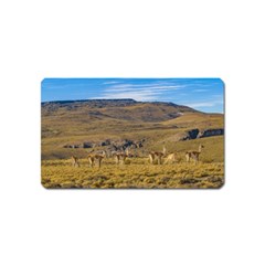 Group Of Vicunas At Patagonian Landscape, Argentina Magnet (name Card) by dflcprints