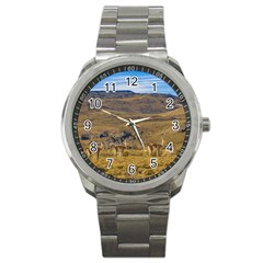 Group Of Vicunas At Patagonian Landscape, Argentina Sport Metal Watch by dflcprints