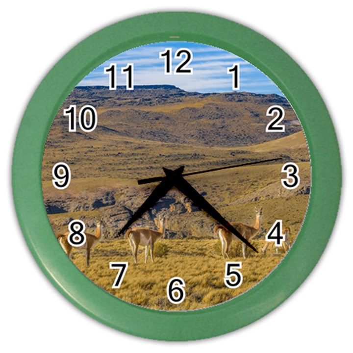 Group Of Vicunas At Patagonian Landscape, Argentina Color Wall Clocks