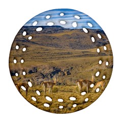 Group Of Vicunas At Patagonian Landscape, Argentina Round Filigree Ornament (two Sides) by dflcprints