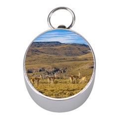 Group Of Vicunas At Patagonian Landscape, Argentina Mini Silver Compasses by dflcprints