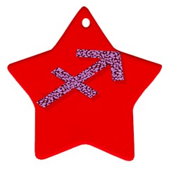 Illustrated Zodiac Star Red Purple Star Ornament (two Sides)