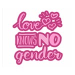 Love knows no gender Double Sided Flano Blanket (Small)  50 x40  Blanket Front