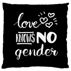 Love Knows No Gender Large Cushion Case (two Sides) by Valentinaart