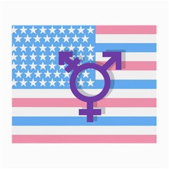 Transgender Flag Small Glasses Cloth (2-side) by Valentinaart