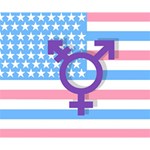 Transgender flag Deluxe Canvas 14  x 11  14  x 11  x 1.5  Stretched Canvas