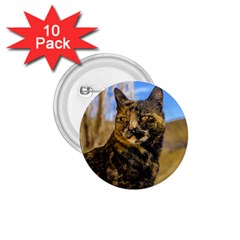 Adult Wild Cat Sitting And Watching 1 75  Buttons (10 Pack) by dflcprints