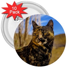 Adult Wild Cat Sitting And Watching 3  Buttons (10 Pack)  by dflcprints