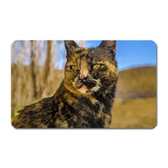 Adult Wild Cat Sitting And Watching Magnet (rectangular) by dflcprints