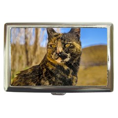 Adult Wild Cat Sitting And Watching Cigarette Money Cases by dflcprints