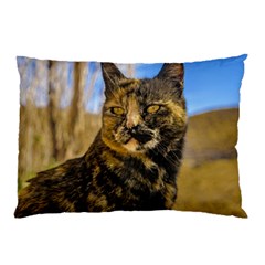 Adult Wild Cat Sitting And Watching Pillow Case by dflcprints