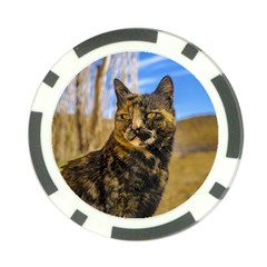 Adult Wild Cat Sitting And Watching Poker Chip Card Guard (10 Pack) by dflcprints