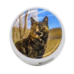 Adult Wild Cat Sitting And Watching 4-port Usb Hub (one Side) by dflcprints