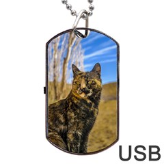 Adult Wild Cat Sitting And Watching Dog Tag Usb Flash (one Side) by dflcprints