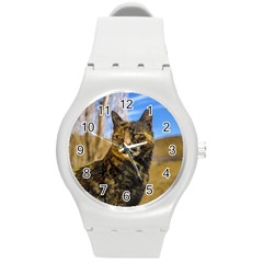 Adult Wild Cat Sitting And Watching Round Plastic Sport Watch (m) by dflcprints