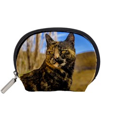 Adult Wild Cat Sitting And Watching Accessory Pouches (small)  by dflcprints