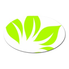 Leaf Green White Oval Magnet