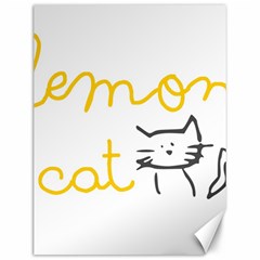 Lemon Animals Cat Orange Canvas 12  X 16   by Mariart