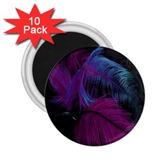 Feathers Quill Pink Black Blue 2 25  Magnets (10 Pack) 