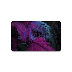 Feathers Quill Pink Black Blue Magnet (name Card)