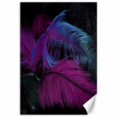 Feathers Quill Pink Black Blue Canvas 12  X 18   by Mariart