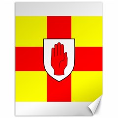 Flag Of The Province Of Ulster  Canvas 18  X 24   by abbeyz71