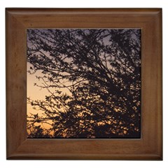 Arizona Sunset Framed Tiles