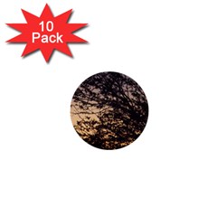 Arizona Sunset 1  Mini Buttons (10 pack) 