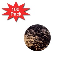 Arizona Sunset 1  Mini Magnets (100 pack) 